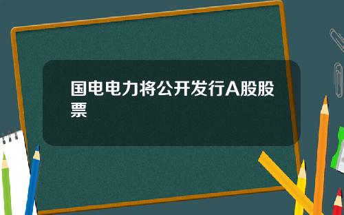 国电电力将公开发行A股股票