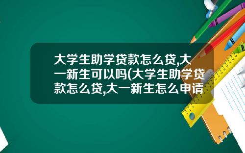 大学生助学贷款怎么贷,大一新生可以吗(大学生助学贷款怎么贷,大一新生怎么申请)_1