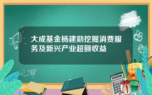 大成基金杨建勋挖掘消费服务及新兴产业超额收益