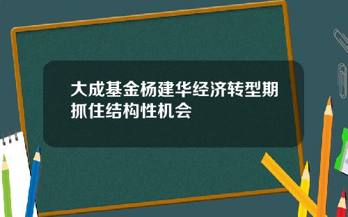 大成基金杨建华经济转型期抓住结构性机会