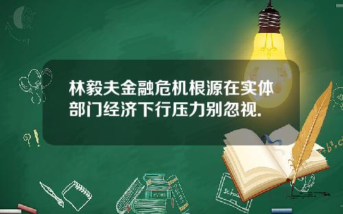 林毅夫金融危机根源在实体部门经济下行压力别忽视.