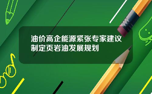 油价高企能源紧张专家建议制定页岩油发展规划