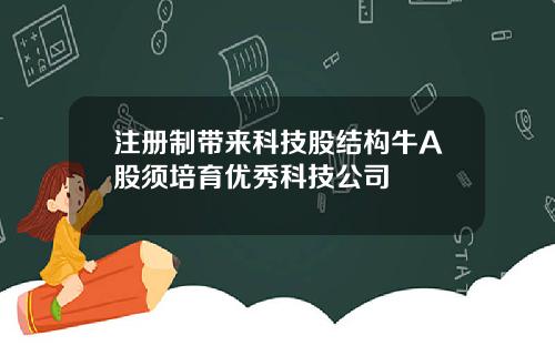 注册制带来科技股结构牛A股须培育优秀科技公司