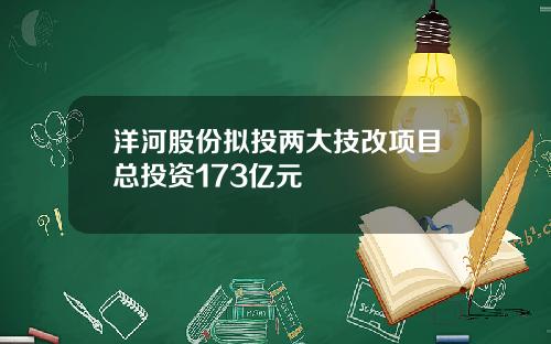 洋河股份拟投两大技改项目总投资173亿元