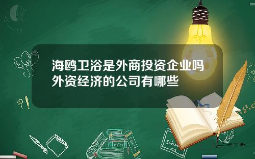 海鸥卫浴是外商投资企业吗外资经济的公司有哪些