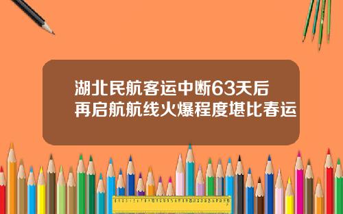 湖北民航客运中断63天后再启航航线火爆程度堪比春运