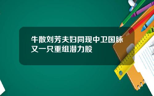 牛散刘芳夫妇同现中卫国脉又一只重组潜力股