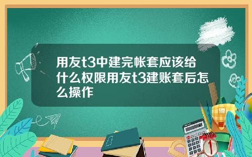 用友t3中建完帐套应该给什么权限用友t3建账套后怎么操作