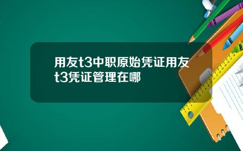 用友t3中职原始凭证用友t3凭证管理在哪