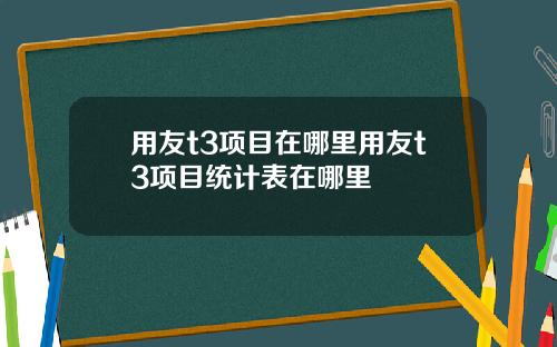 用友t3项目在哪里用友t3项目统计表在哪里