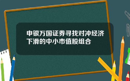 申银万国证券寻找对冲经济下滑的中小市值股组合