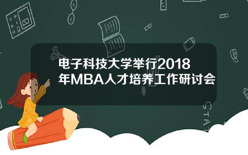 电子科技大学举行2018年MBA人才培养工作研讨会