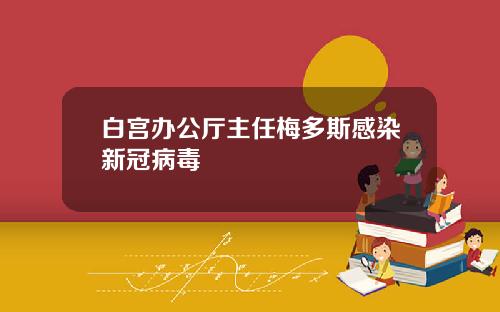 白宫办公厅主任梅多斯感染新冠病毒