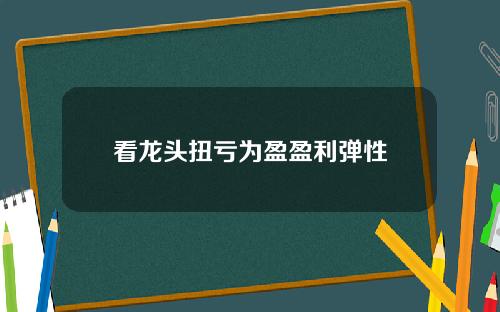 看龙头扭亏为盈盈利弹性