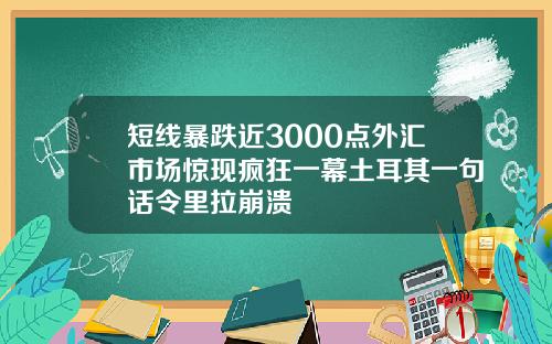 短线暴跌近3000点外汇市场惊现疯狂一幕土耳其一句话令里拉崩溃