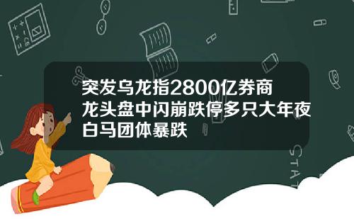 突发乌龙指2800亿券商龙头盘中闪崩跌停多只大年夜白马团体暴跌