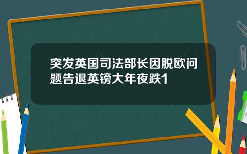 突发英国司法部长因脱欧问题告退英镑大年夜跌1