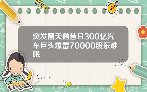 突发黑天鹅昔日300亿汽车巨头爆雷70000股东难眠