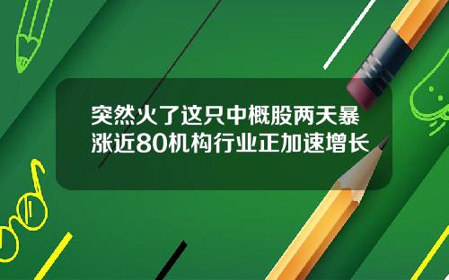 突然火了这只中概股两天暴涨近80机构行业正加速增长