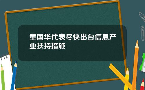 童国华代表尽快出台信息产业扶持措施