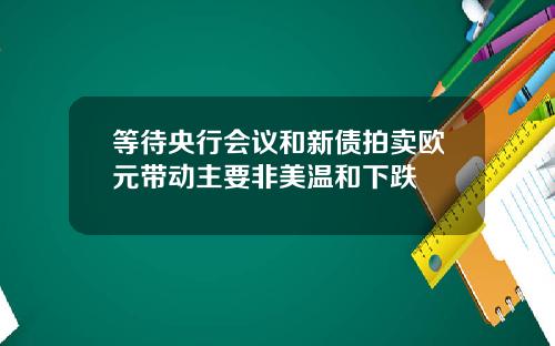 等待央行会议和新债拍卖欧元带动主要非美温和下跌