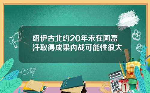 绍伊古北约20年未在阿富汗取得成果内战可能性很大