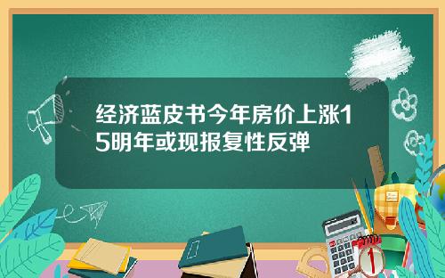 经济蓝皮书今年房价上涨15明年或现报复性反弹