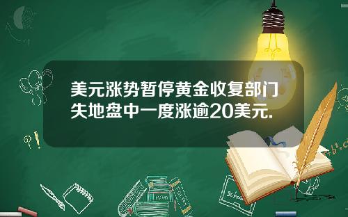 美元涨势暂停黄金收复部门失地盘中一度涨逾20美元.