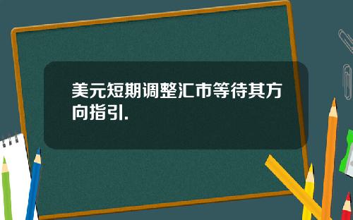 美元短期调整汇市等待其方向指引.