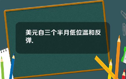 美元自三个半月低位温和反弹.