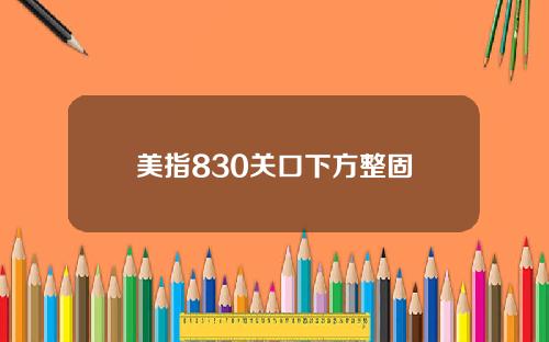 美指830关口下方整固