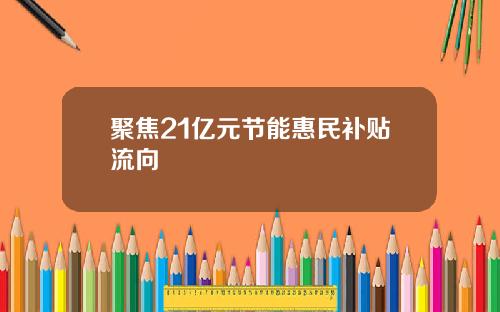 聚焦21亿元节能惠民补贴流向