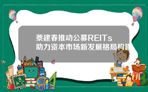 蔡建春推动公募REITs助力资本市场新发展格局构建