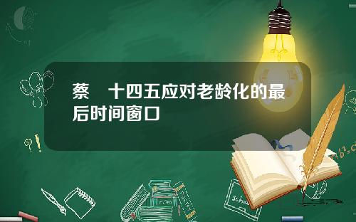 蔡昉十四五应对老龄化的最后时间窗口