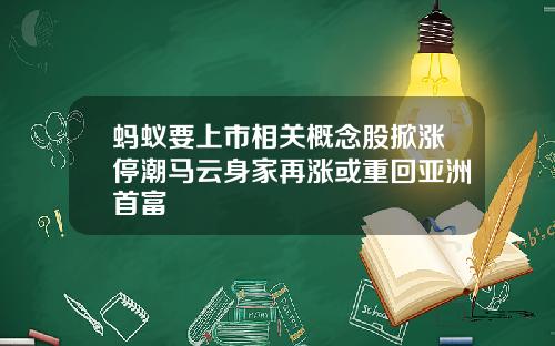 蚂蚁要上市相关概念股掀涨停潮马云身家再涨或重回亚洲首富