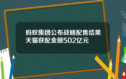 蚂蚁集团公布战略配售结果天猫获配金额502亿元