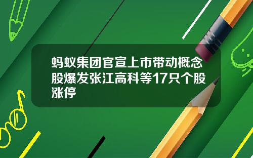 蚂蚁集团官宣上市带动概念股爆发张江高科等17只个股涨停