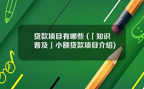 贷款项目有哪些 (「知识普及」小额贷款项目介绍)