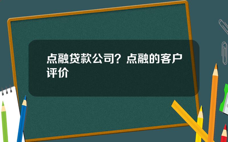 点融贷款公司？点融的客户评价