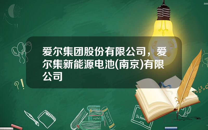 爱尔集团股份有限公司，爱尔集新能源电池(南京)有限公司