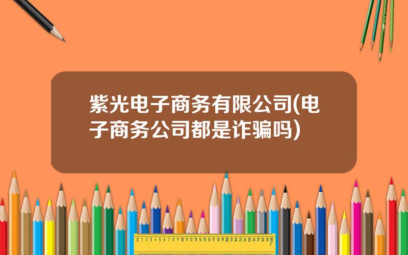 紫光电子商务有限公司(电子商务公司都是诈骗吗)