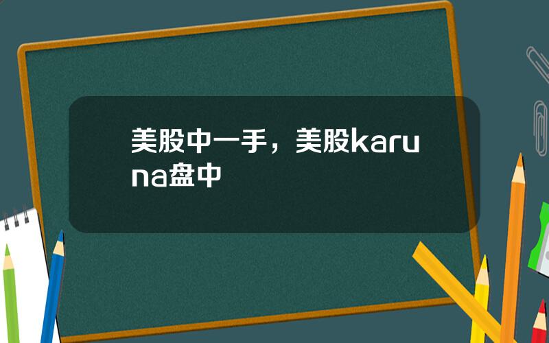 美股中一手，美股karuna盘中