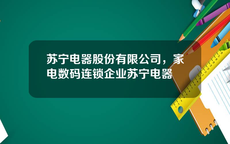 苏宁电器股份有限公司，家电数码连锁企业苏宁电器