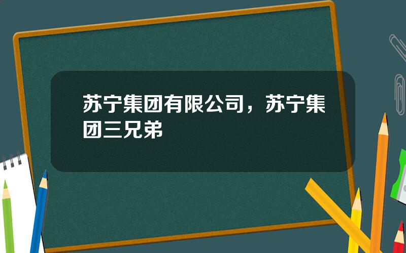 苏宁集团有限公司，苏宁集团三兄弟