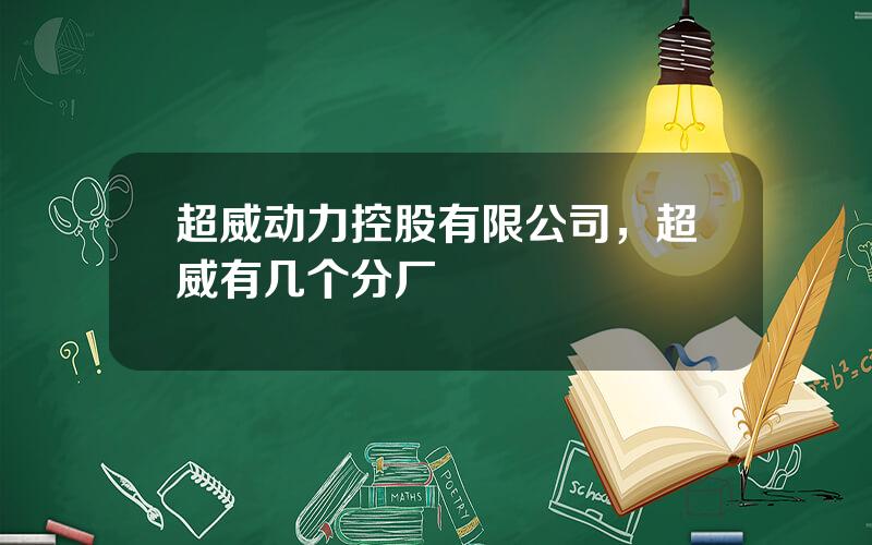 超威动力控股有限公司，超威有几个分厂