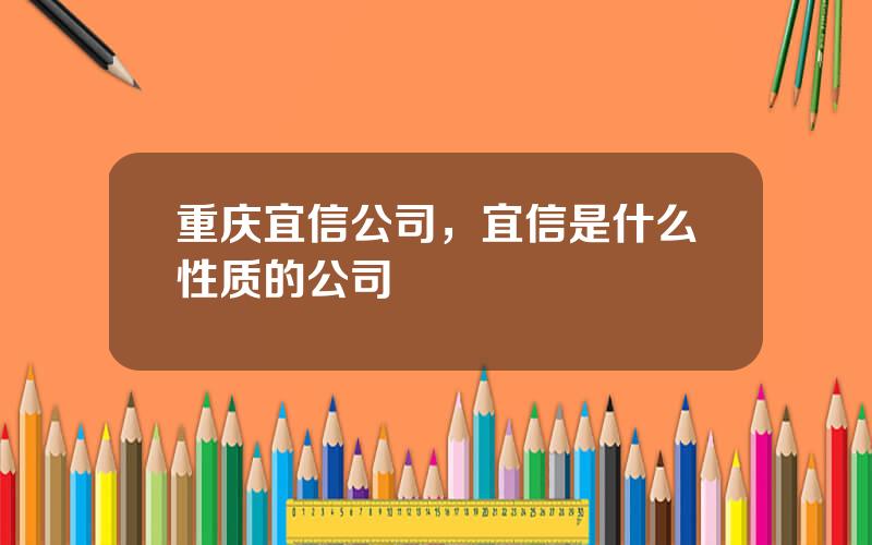 重庆宜信公司，宜信是什么性质的公司