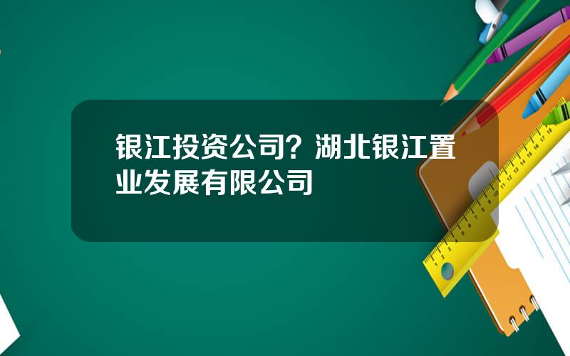 银江投资公司？湖北银江置业发展有限公司