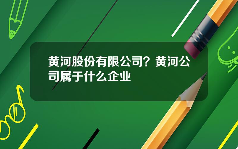 黄河股份有限公司？黄河公司属于什么企业